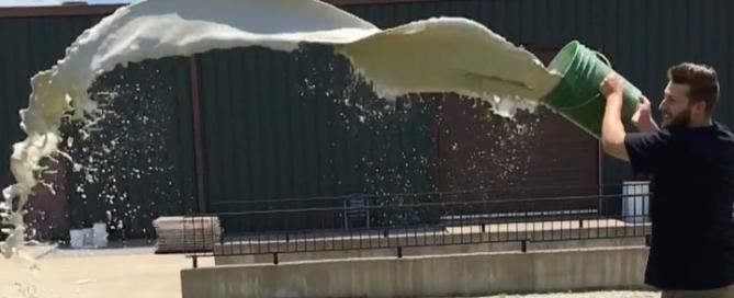 Using Real Milk Paint as a natural fertilizer