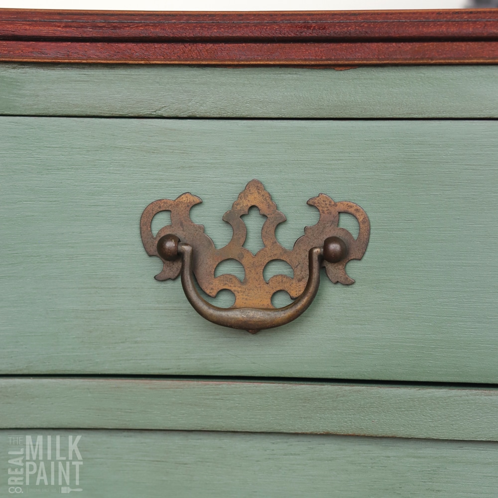 Blue Spruce - Image 7