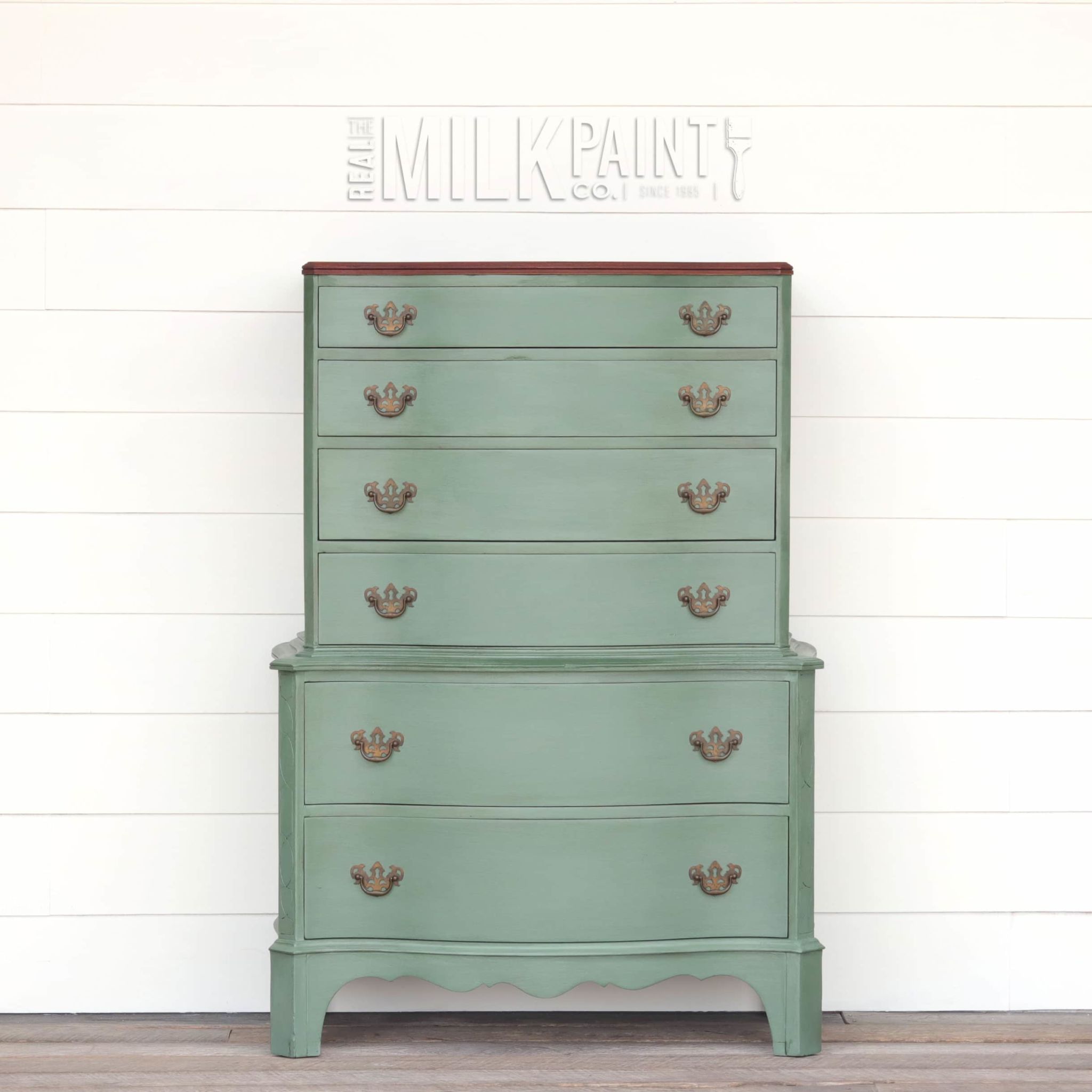 Blue Spruce - Image 5