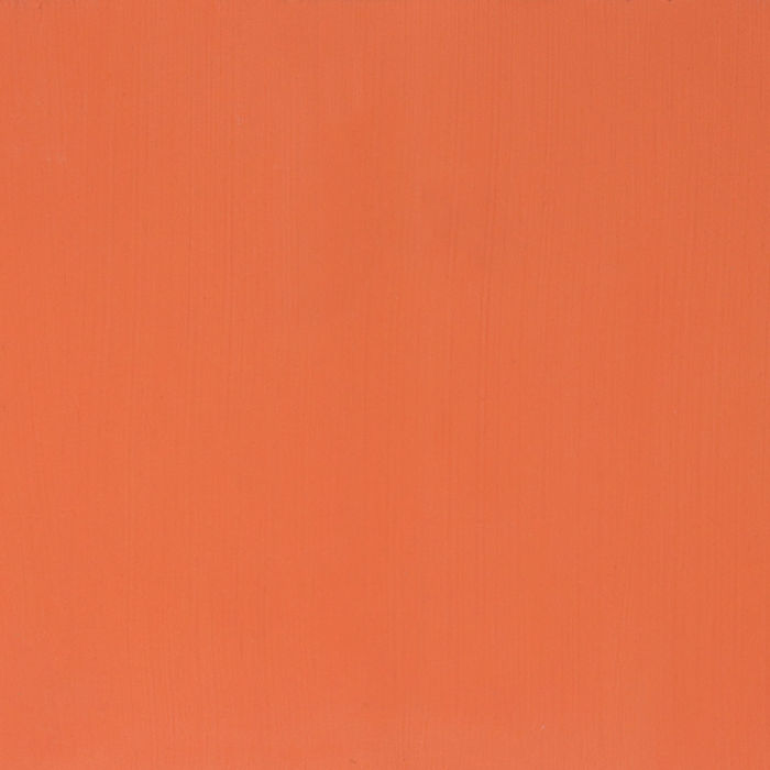 Pumpkin - Image 2