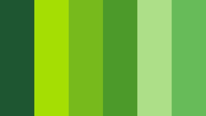 Benjamin Moore, bright skies, evergreen fog and october mist