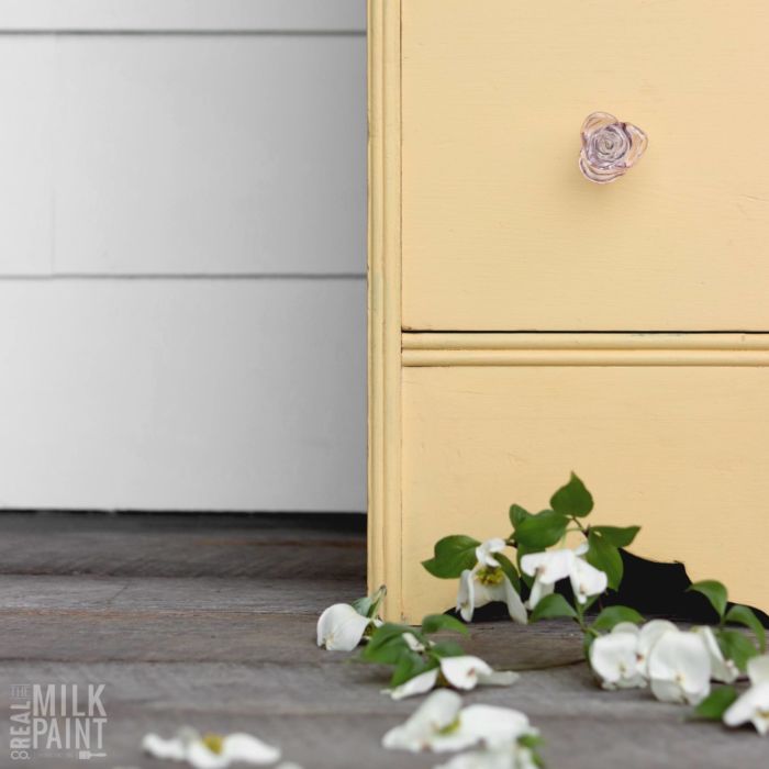 Yellow Rose - Image 10