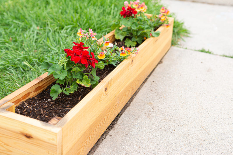 outdoor garden bed
